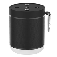 Bluetooth Speakers